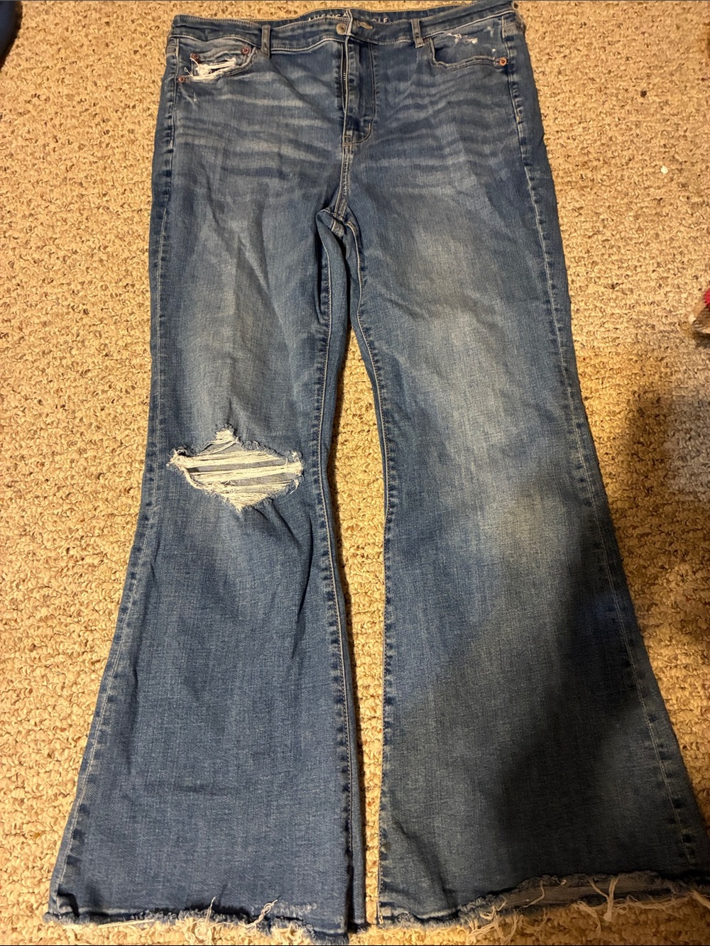American Eagle Hi Rise Flare stretch jeans in size 16 regular